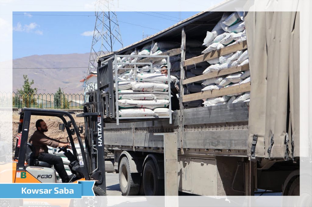 صادرات سویای بافت دار لیفود